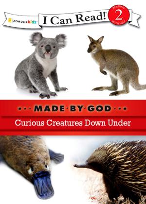 Cover of the book Curious Creatures Down Under by Dandi Daley Mackall