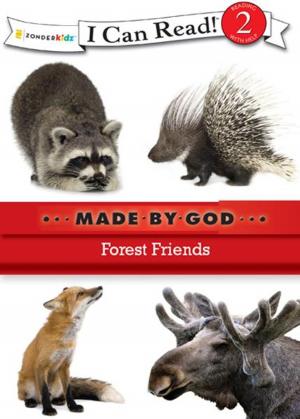 Cover of the book Forest Friends by Dandi Daley Mackall, Lori Walburg