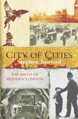 Cover of the book City Of Cities by Elizabeth Laird