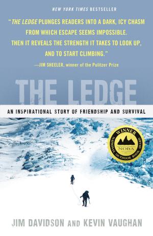 bigCover of the book The Ledge by 