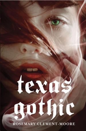 Cover of the book Texas Gothic by Amy Fellner Dominy