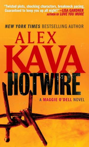 Cover of the book Hotwire by Peter Spiegelman