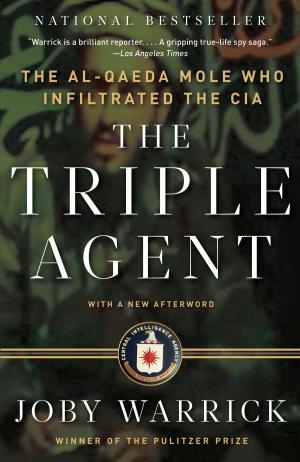 Cover of the book The Triple Agent by John Burnham Schwartz