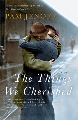 Cover of the book The Things We Cherished by Ann Beattie