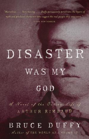 Cover of the book Disaster Was My God by Richard Hofstadter
