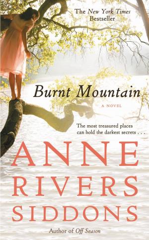 Cover of the book Burnt Mountain by Nicholas Sparks