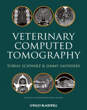 Cover of the book Veterinary Computed Tomography by Ian Pouncey, Richard York