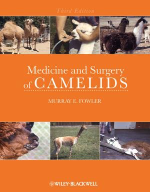 Cover of the book Medicine and Surgery of Camelids by Kai Hammerich, Richard D. Lewis