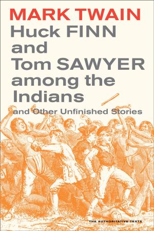 Book cover of Huck Finn and Tom Sawyer among the Indians