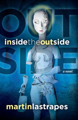 Cover of the book Inside the Outside by Marsha Casper Cook