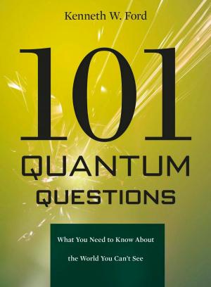 Cover of the book 101 Quantum Questions by 