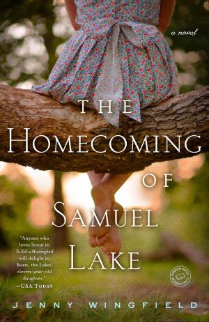 Cover of the book The Homecoming of Samuel Lake by Alexandre Dumas