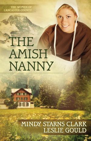 Cover of the book The Amish Nanny by Elizabeth George