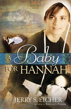 Cover of the book A Baby for Hannah by Lenya Heitzig