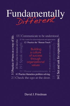 Cover of the book Fundamentally Different by Robert C. Seay