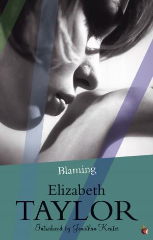 Cover of the book Blaming by Kate Ellis