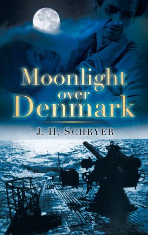 Cover of the book Moonlight Over Denmark by Robert Webb