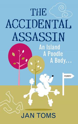 Cover of the book Accidental Assassin by Jack Neely