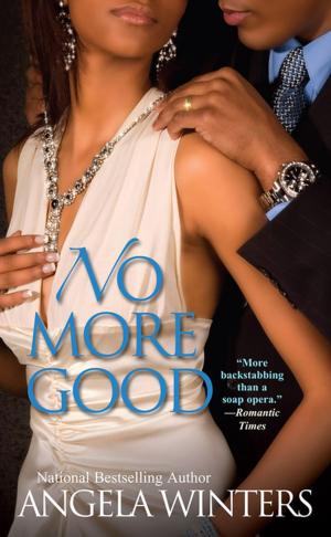 Cover of the book No More Good by Holly Chamberlin