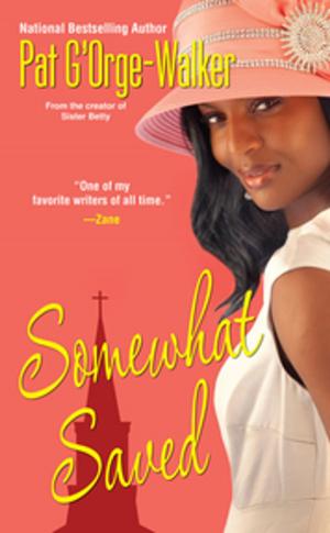 Cover of the book Somewhat Saved by Deborah Fletcher Mello