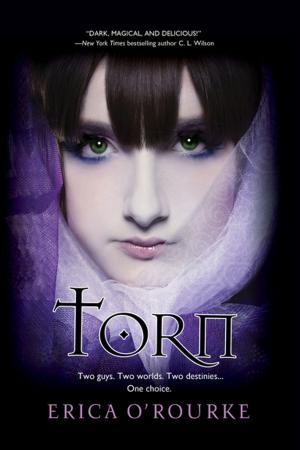 Cover of the book Torn by Elizabeth Amber