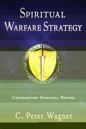 Book cover of Spiritual Warfare Strategy
