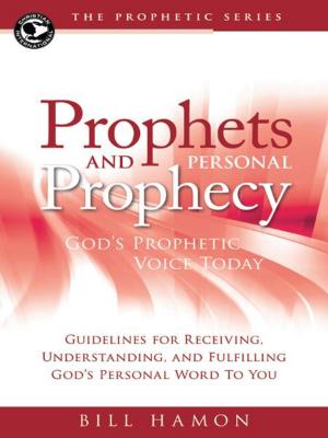 Cover of the book Prophets and Personal Prophecy: God's Prophetic Voice Today by Dr Mukesh Chauhan