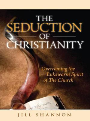 Cover of the book The Seduction of Christianity: Overcoming the Lukewarm Spirit of the Church by Laura Gallier