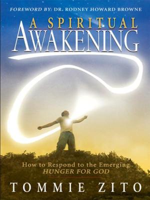 bigCover of the book A Spiritual Awakening: How To Respond To The Emerging Hunger For God by 