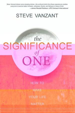 Cover of the book The Significance of One: How to Make Your Life Matter by Bruce Van Natta