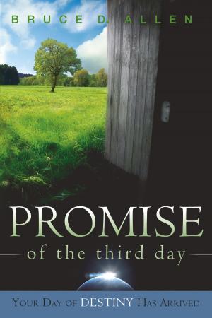 Cover of the book Promise Of The Third Day by Michael-David