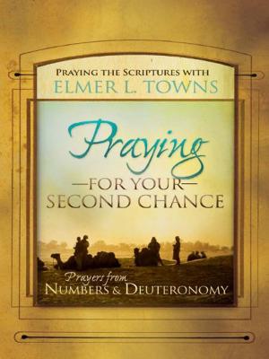 Cover of the book Praying for Your Second Chance: Prayers from Numbers & Deuteronomy by Elmer Towns