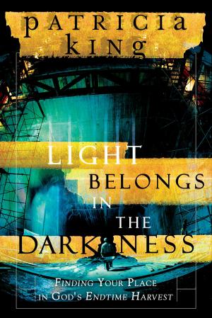 Cover of the book Light Belongs in the Darkness: Finding Your Place in God's Endtime Harvest by Jackie Kendall, Debby Jones
