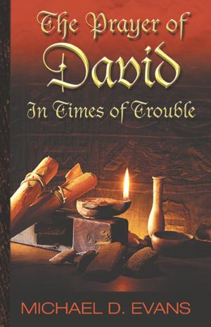 Cover of the book The Prayer of David: In Times of Trouble by Bonnie Rowan