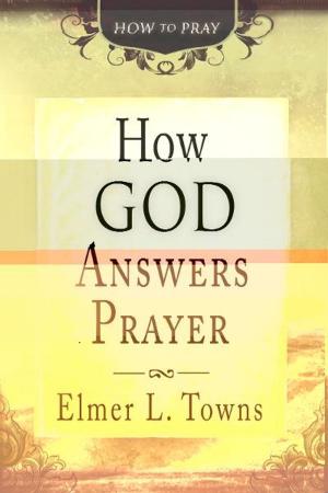 Cover of the book How God Answers Prayer (How to Pray) by Paul Manwaring