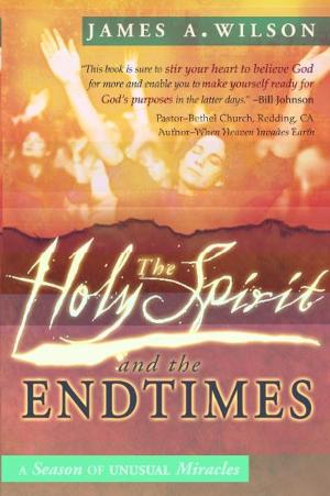 Cover of the book The Holy Spirit and the Endtimes: A Season of Unusual Miracles by Jonathan Welton