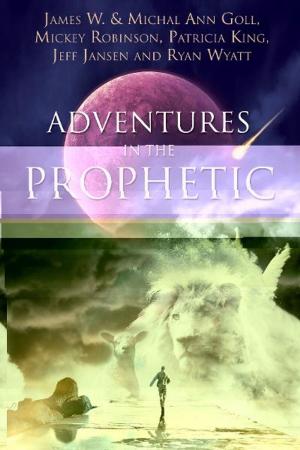 Cover of the book Adventures in the Prophetic by Rich Marshall