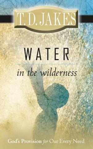 Cover of the book Water in the Wilderness by Alan Vincent, Guillermo Maldonado
