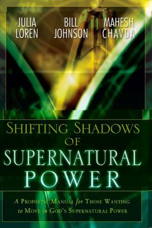 Cover of the book Shifting Shadow of Supernatural Power: A Prophetic manual for Those Wanting to Move in God's Supernautral Power by John Goyette