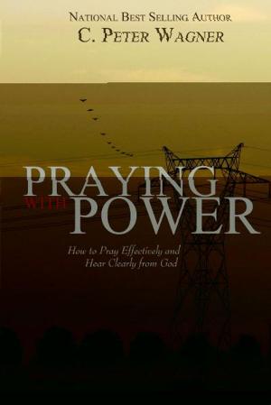 Cover of the book Praying with Power by Dave Yarnes