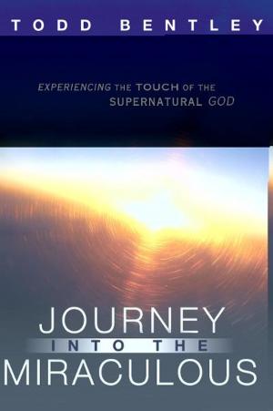 Book cover of The Journey into the Miraculous