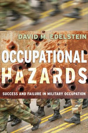 Cover of the book Occupational Hazards by Theodore Ziolkowski