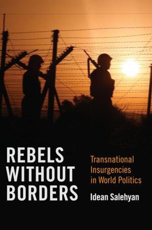 Cover of the book Rebels without Borders by David Roberts