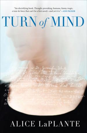 Book cover of Turn of Mind