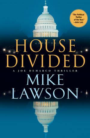 Cover of the book House Divided by Stephanie Parrish
