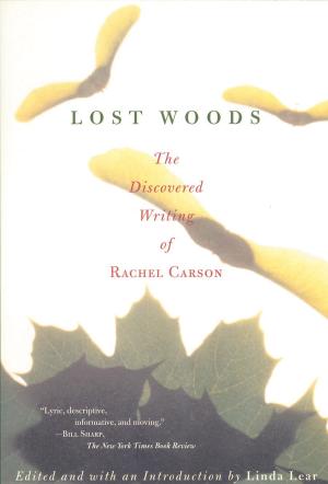 Cover of the book Lost Woods by Deborah Meier