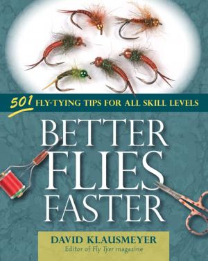 Book cover of Better Flies Faster