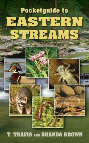 Cover of the book Pocketguide to Eastern Streams by David J. Krajicek