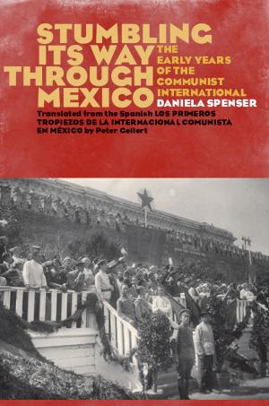 Cover of the book Stumbling Its Way through Mexico by George C. Bradley, Richard L. Dahlen