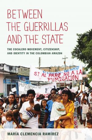 Cover of the book Between the Guerrillas and the State by Julia Hell